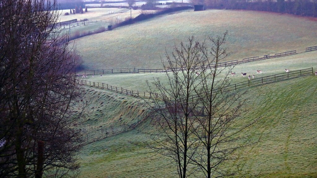 Land-art installatie "Les ancêtres" (Heuvelland, België)