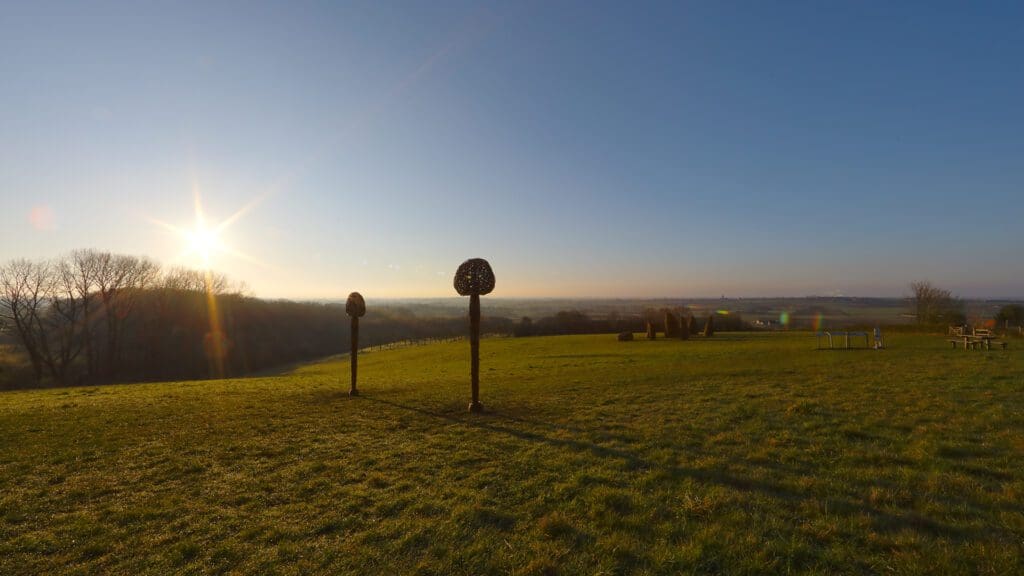 Land-art installatie "Les ancêtres" (Heuvelland, België)