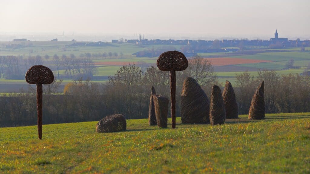 Land-art installatie "Les ancêtres" (Heuvelland, België)