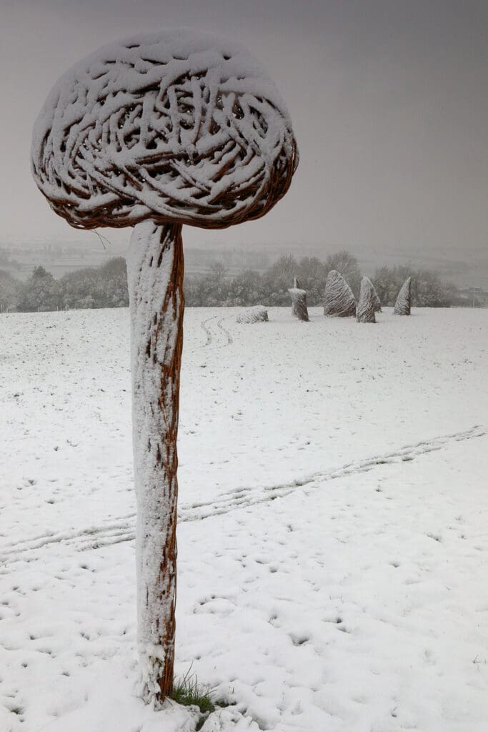 Land-art installatie "Les ancêtres" (Heuvelland, België)