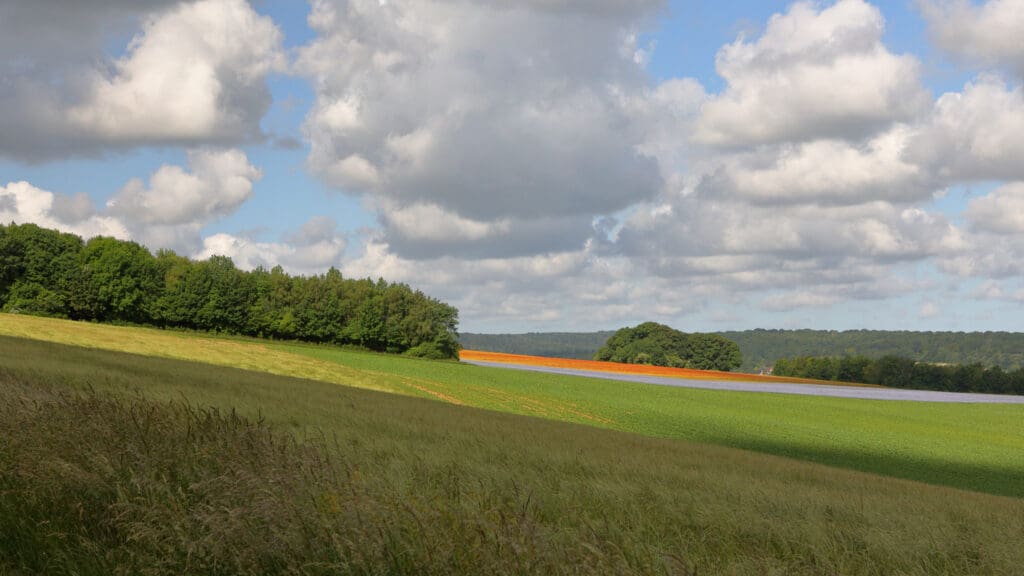 Landschap met vlasveld.
