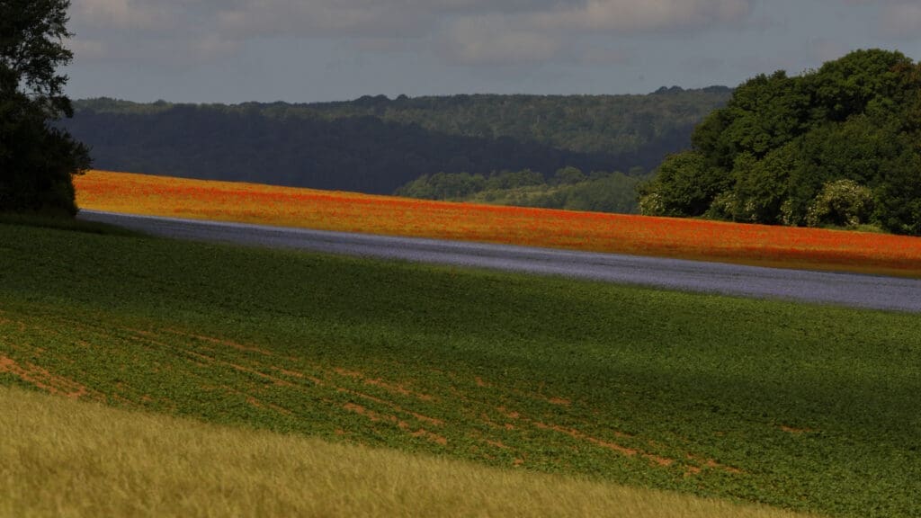 Landschap met vlasveld.