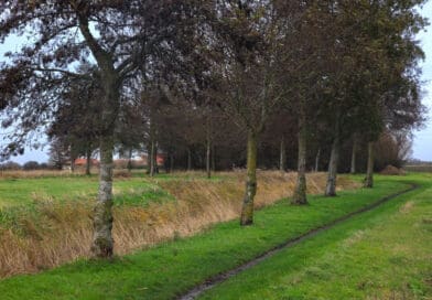 Molenpad (Eggewaartskapelle, Veurne, België)