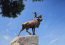 Beaumont-Hamel Newfoundland Memoriaal (Auchonvillers, Frankrijk)