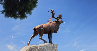 Beaumont-Hamel Newfoundland Memoriaal (Auchonvillers, Frankrijk)